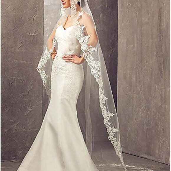 Wedding Bridal Veils Long Veil with Lace and Metal Comb at The Edge Cathedral Le - Picture 1 of 7